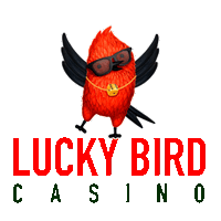 Lucky Bird Bonus Login Polish – szczegółowa recenzja Casino Lucky Bird dla graczy z Polski
